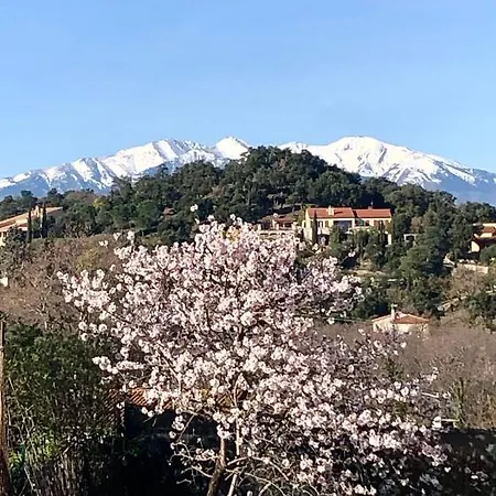 Prázdninový dům Des Alberes Piscine Privative Proche Et Collioure, Climatisation, Parking ,wifi Montesquieu (Pyrenees-Orientales)