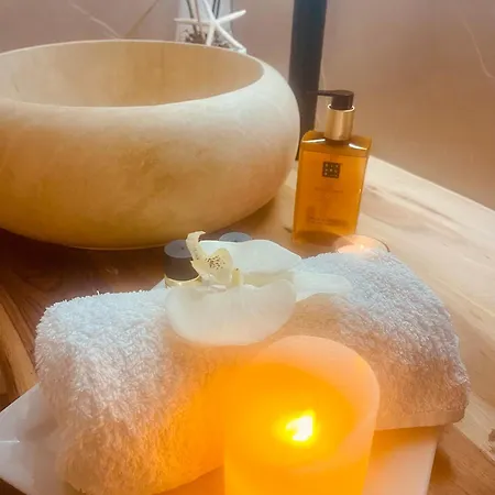 Des Alberes Piscine Privative Proche Et Collioure, Climatisation, Parking ,wifi *