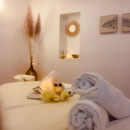 Des Alberes Piscine Privative Proche Et Collioure, Climatisation, Parking ,wifi * Montesquieu (Pyrenees-Orientales)