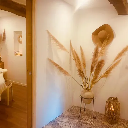 Des Alberes Piscine Privative Proche Et Collioure, Climatisation, Parking ,wifi