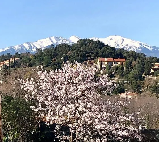 Dom wakacyjny Des Alberes Piscine Privative Proche Et Collioure, Climatisation, Parking ,wifi Montesquieu (Pyrenees-Orientales)