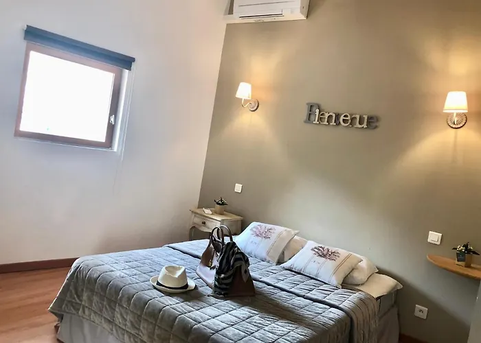 Des Alberes Piscine Privative Proche Et Collioure, Climatisation, Parking ,wifi