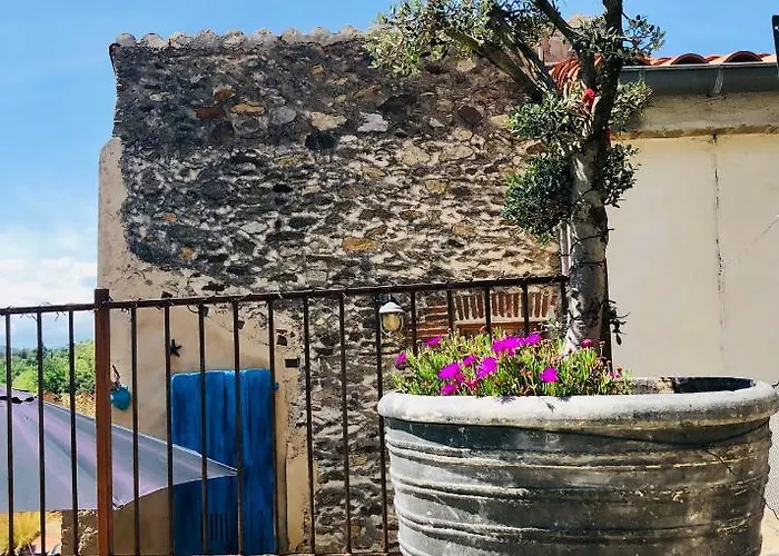 Des Alberes Piscine Privative Proche Et Collioure, Climatisation, Parking ,wifi Dom wakacyjny *