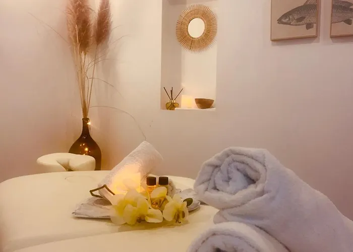 Des Alberes Piscine Privative Proche Et Collioure, Climatisation, Parking ,wifi * Montesquieu (Pyrenees-Orientales)