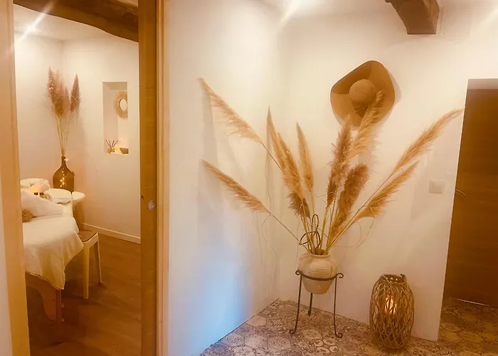 Des Alberes Piscine Privative Proche Et Collioure, Climatisation, Parking ,wifi